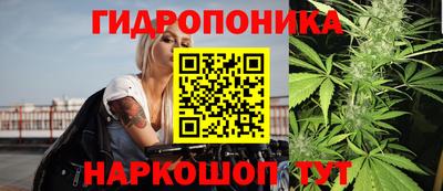 индика Донской